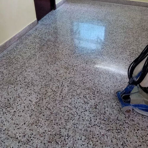 Mosaic Floor Polishing